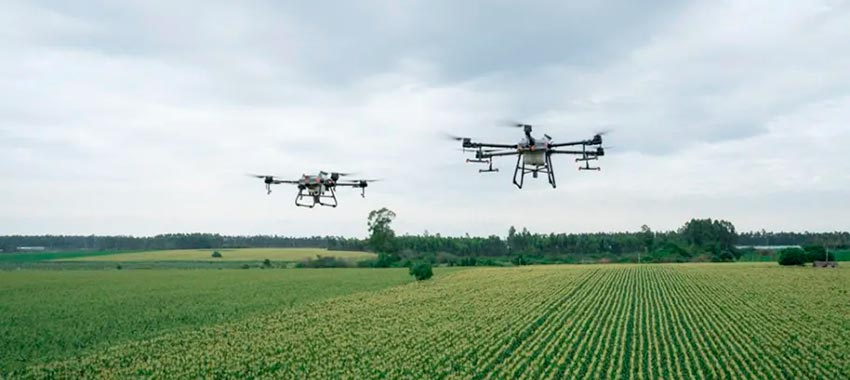 Dos drones agrícolas aplicando sobre un cultivo